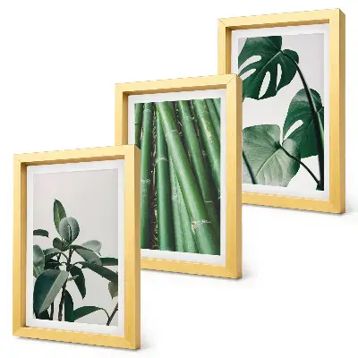 Fotowand mit Bambusstängeln, Zimmerpflanze und Monstera-Blättern
