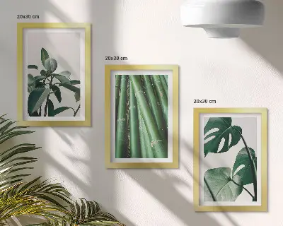 Fotowand mit Bambusstängeln, Zimmerpflanze und Monstera-Blättern