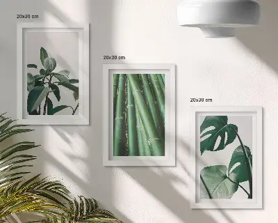 Fotowand mit Bambusstängeln, Zimmerpflanze und Monstera-Blättern