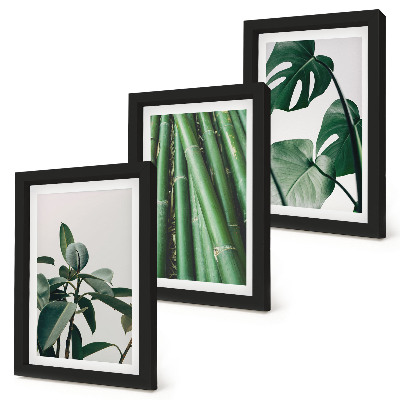 Fotowand Bambusstängel, Zimmerpflanze und Monstera-Blätter
