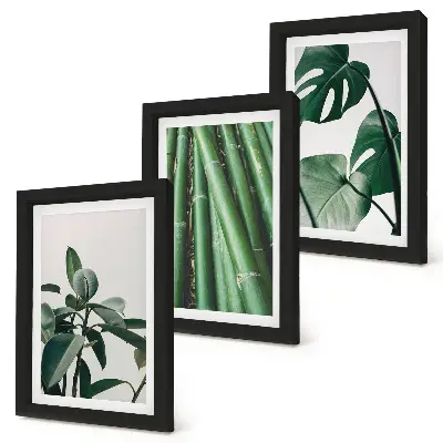 Fotowand mit Bambusstängeln, Zimmerpflanze und Monstera-Blättern