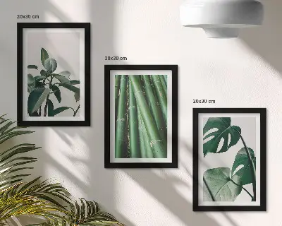 Fotowand mit Bambusstängeln, Zimmerpflanze und Monstera-Blättern