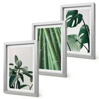 Fotowand mit Bambusstängeln, Zimmerpflanze und Monstera-Blättern