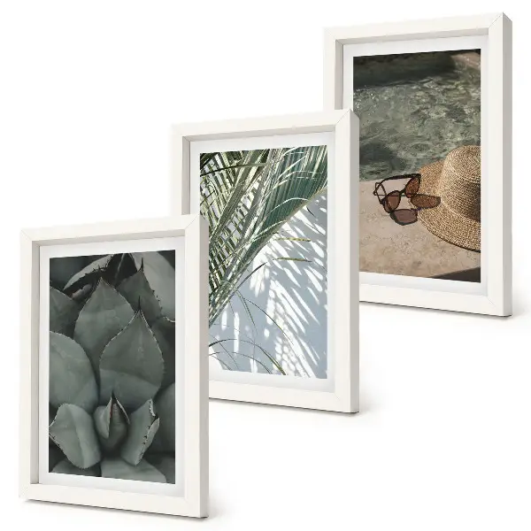 Bilderwand mit tropischen Pflanzen und sommerlichen Urlaubsakzenten