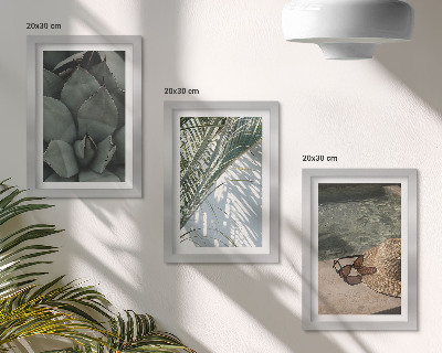 Bilderwand Tropische Pflanzen und sommerliche Urlaubsakzente