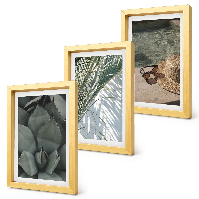 Bilderwand Tropische Pflanzen und sommerliche Urlaubsakzente