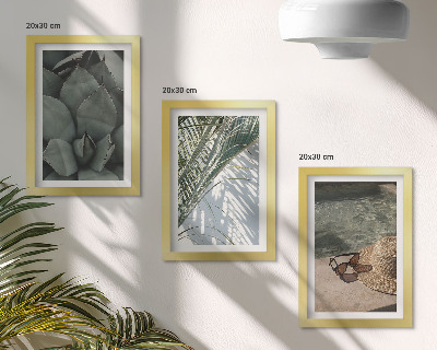 Bilderwand Tropische Pflanzen und sommerliche Urlaubsakzente