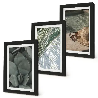 Bilderwand mit tropischen Pflanzen und sommerlichen Urlaubsakzenten