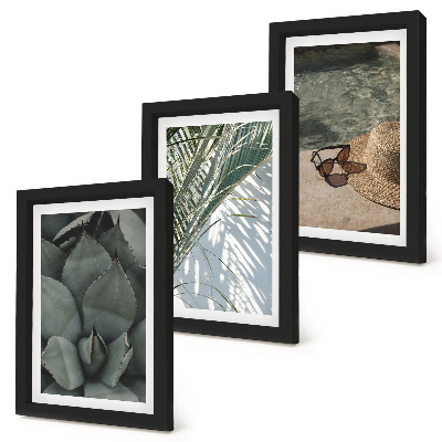 Bilderwand Tropische Pflanzen und sommerliche Urlaubsakzente