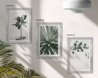 Fotowand Grünpflanzen im minimalistischen Stil