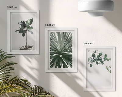 Fotowand Grünpflanzen im minimalistischen Stil