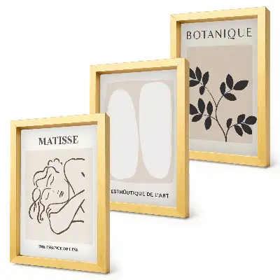 Bilderset mit Rahmen stilvolle minimalistische Matisse Gemälde mit Pflanzenmotiven