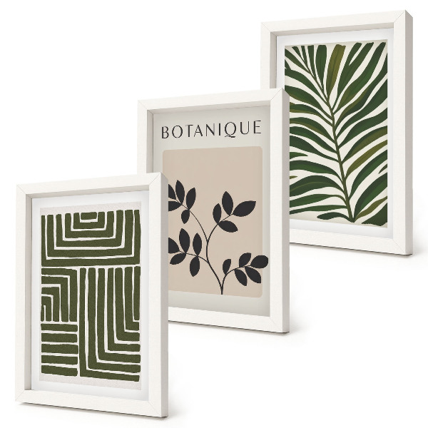 Fotowand Botanische Kompositionen im Stil des Boho-Minimalismus