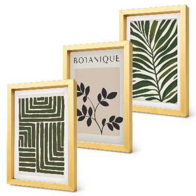 Fotowand Botanische Kompositionen im Stil des Boho-Minimalismus