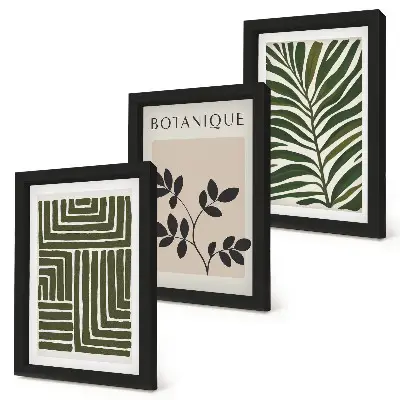 Fotowand mit botanischen Kompositionen im Boho-Minimalismus-Stil