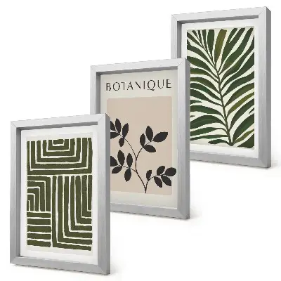 Fotowand mit botanischen Kompositionen im Boho-Minimalismus-Stil