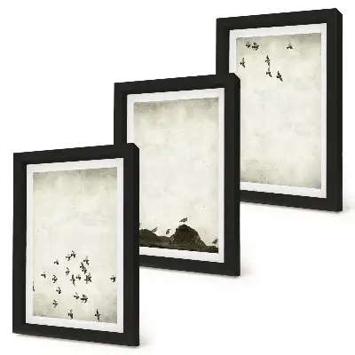 Bilderset Vögel im Flug im minimalistischen Stil mit Rahmen