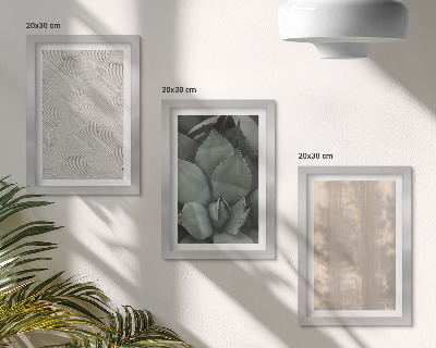 Bilderwand Sommerliche Texturen aus nächster Nähe in einem tropischen Klima