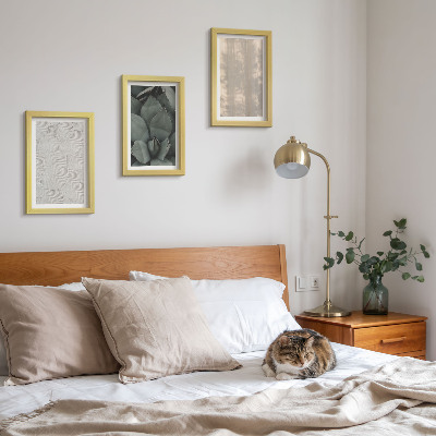 Bilderwand Sommerliche Texturen aus nächster Nähe in einem tropischen Klima