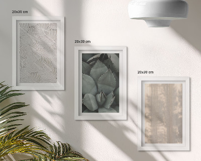 Bilderwand Sommerliche Texturen aus nächster Nähe in einem tropischen Klima