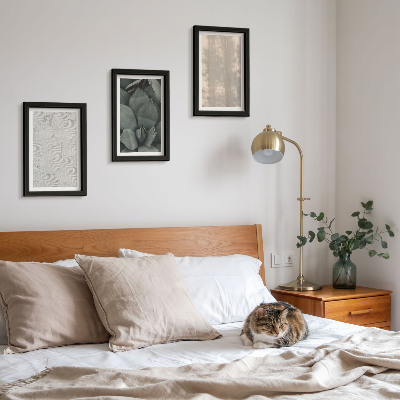 Bilderwand Sommerliche Texturen aus nächster Nähe in einem tropischen Klima