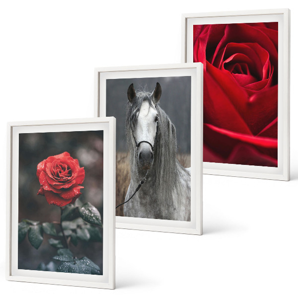 Bilder-3er-set mit rahmen Rote Rosen, Pferdegrau, Welt