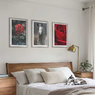 Bilder-3er-set mit rahmen Rote Rosen, Pferdegrau, Welt