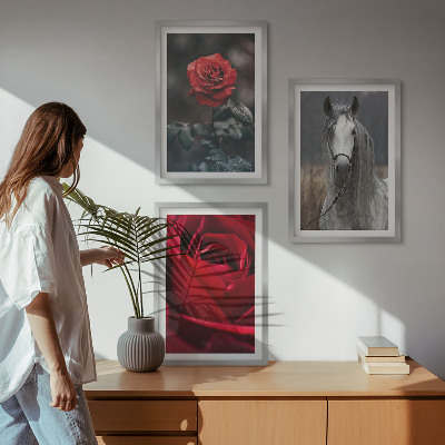 Bilder-3er-set mit rahmen Rote Rosen, Pferdegrau, Welt