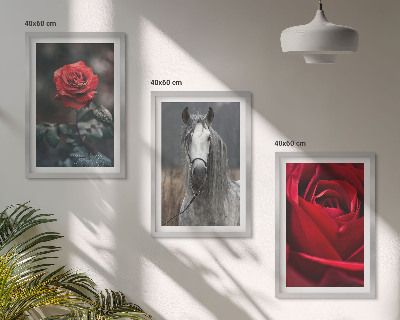Bilder-3er-set mit rahmen Rote Rosen, Pferdegrau, Welt