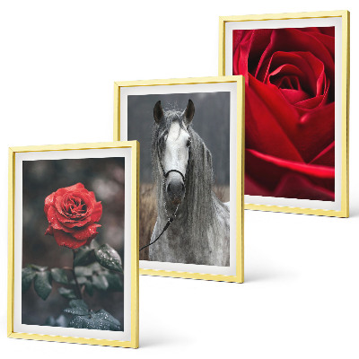 Bilder-3er-set mit rahmen Rote Rosen, Pferdegrau, Welt