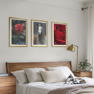 Bilder-3er-set mit rahmen Rote Rosen, Pferdegrau, Welt
