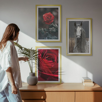 Bilder-3er-set mit rahmen Rote Rosen, Pferdegrau, Welt
