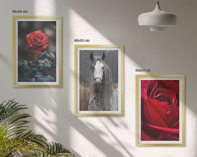 Bilder-3er-set mit rahmen Rote Rosen, Pferdegrau, Welt