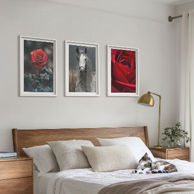 Bilder-3er-set mit rahmen Rote Rosen, Pferdegrau, Welt