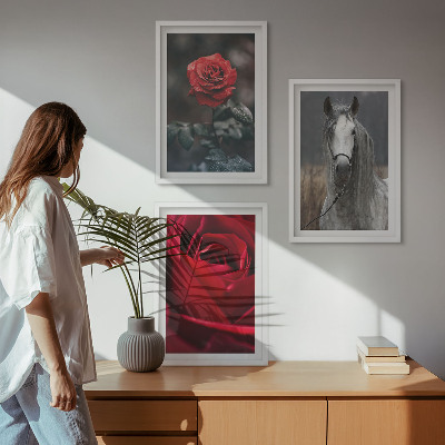 Bilder-3er-set mit rahmen Rote Rosen, Pferdegrau, Welt
