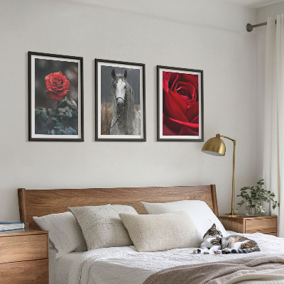 Bilder-3er-set mit rahmen Rote Rosen, Pferdegrau, Welt