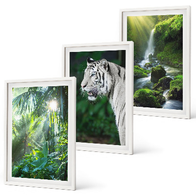 Gerahmtes bilderset Dschungeltigerwasserfall