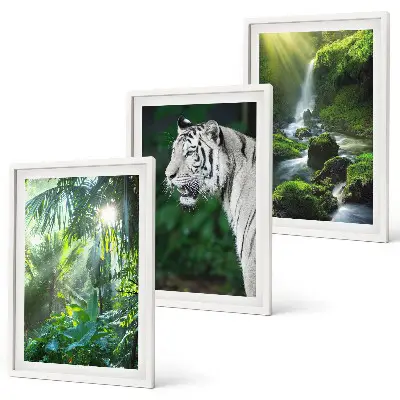 Dschungeltiger am Wasserfall gerahmtes Bilderset