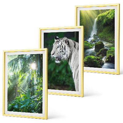 Gerahmtes bilderset Dschungeltigerwasserfall