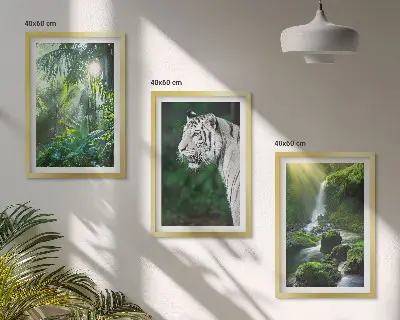 Dschungeltiger am Wasserfall gerahmtes Bilderset
