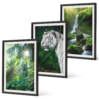 Gerahmtes bilderset Dschungeltigerwasserfall