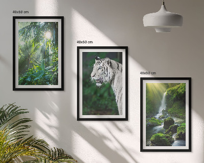 Gerahmtes bilderset Dschungeltigerwasserfall