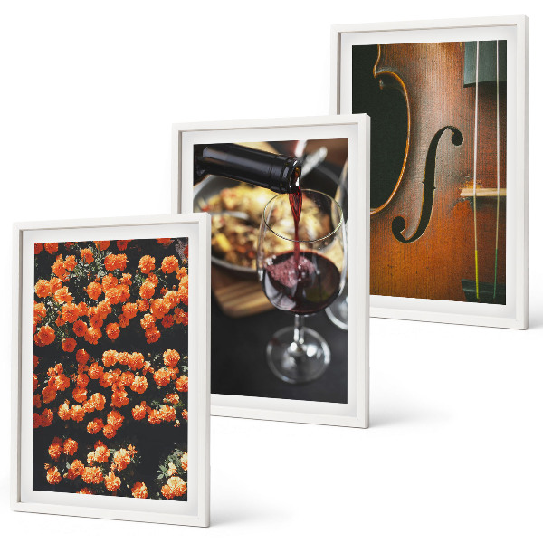 Bilder-3er-set mit rahmen Vintage Blumen Wein Geige
