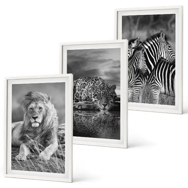 Wildtiere der Savanne 3er-Set Bilder mit Rahmen