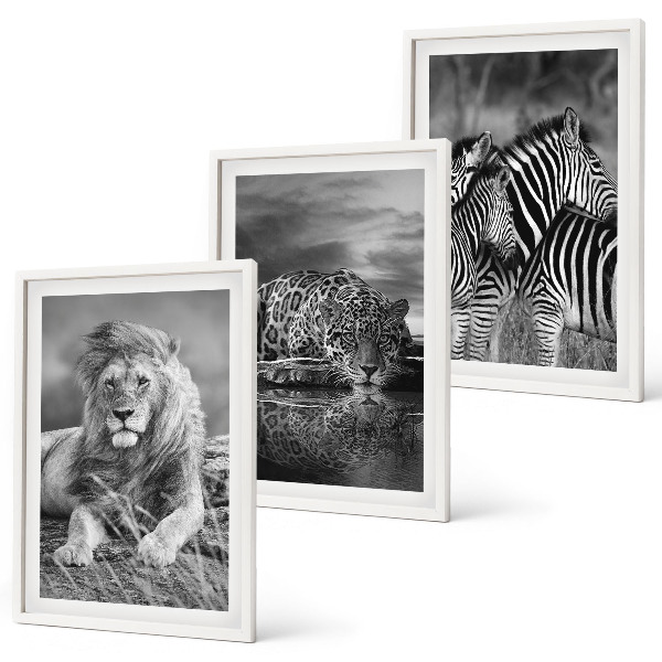 Bilder-3er-set mit rahmen Wildtiere der Savanne