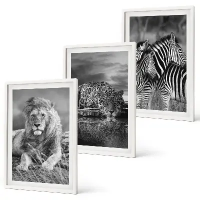 Wildtiere der Savanne 3er-Set Bilder mit Rahmen