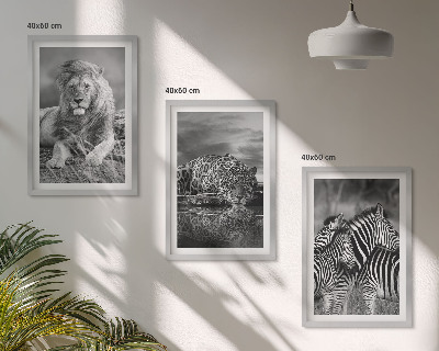 Bilder-3er-set mit rahmen Wildtiere der Savanne