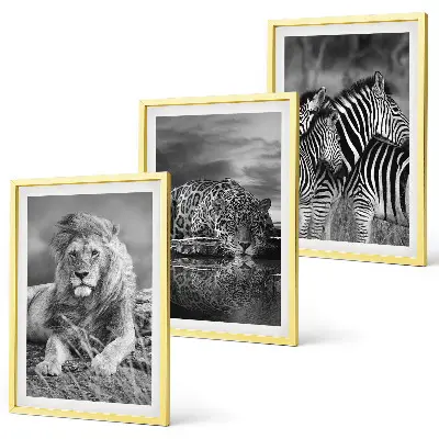 Wildtiere der Savanne 3er-Set Bilder mit Rahmen