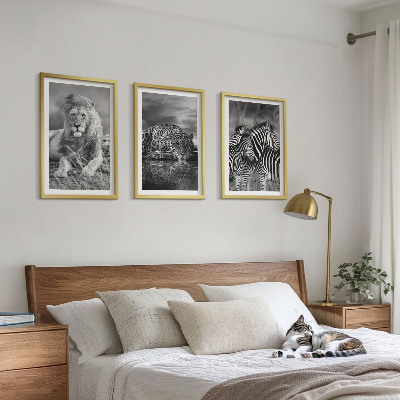 Bilder-3er-set mit rahmen Wildtiere der Savanne