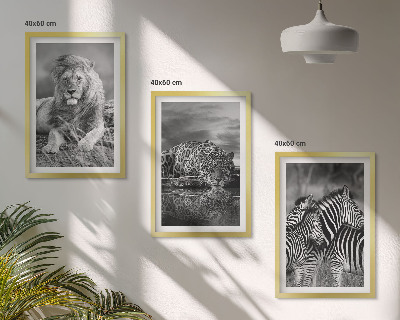 Bilder-3er-set mit rahmen Wildtiere der Savanne